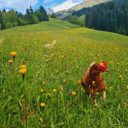 Der Erzstadl Chalet *