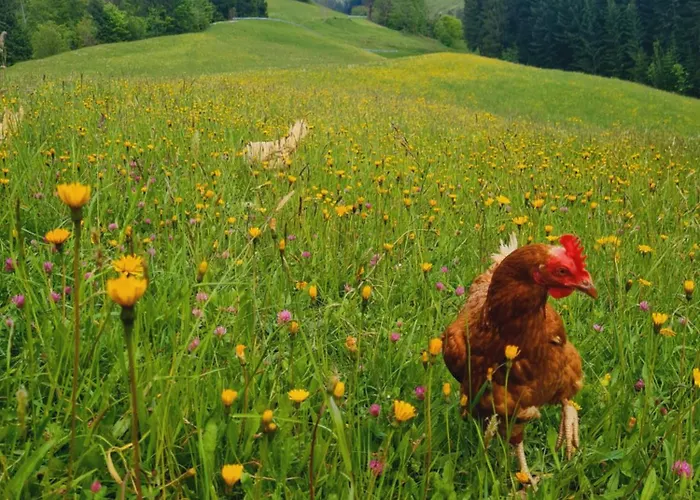 Der Erzstadl Alpesi faház *